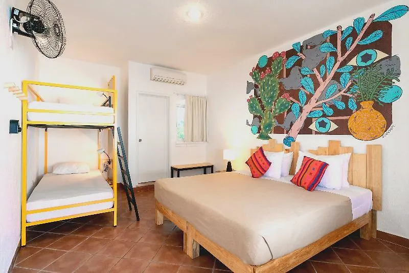 Selina Playa Del Carmen Pansiyon Hostel